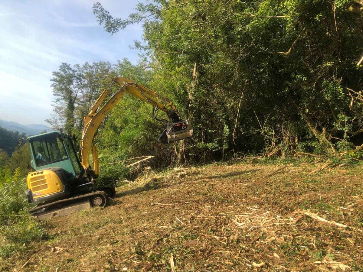 DÉBROUSSAILLAGE - TPAF GIET TRAVAXU RURAUX À PROXIMITÉ DE RUMILLY