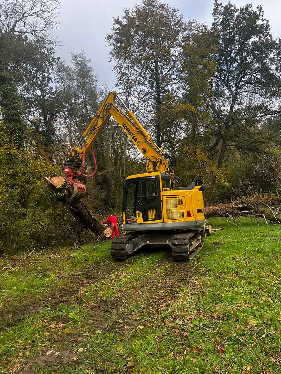 ÉLAGAGE D'UN ARBRE - TPAF GIET TRAVAXU RURAUX À PROXIMITÉ DE RUMILLY