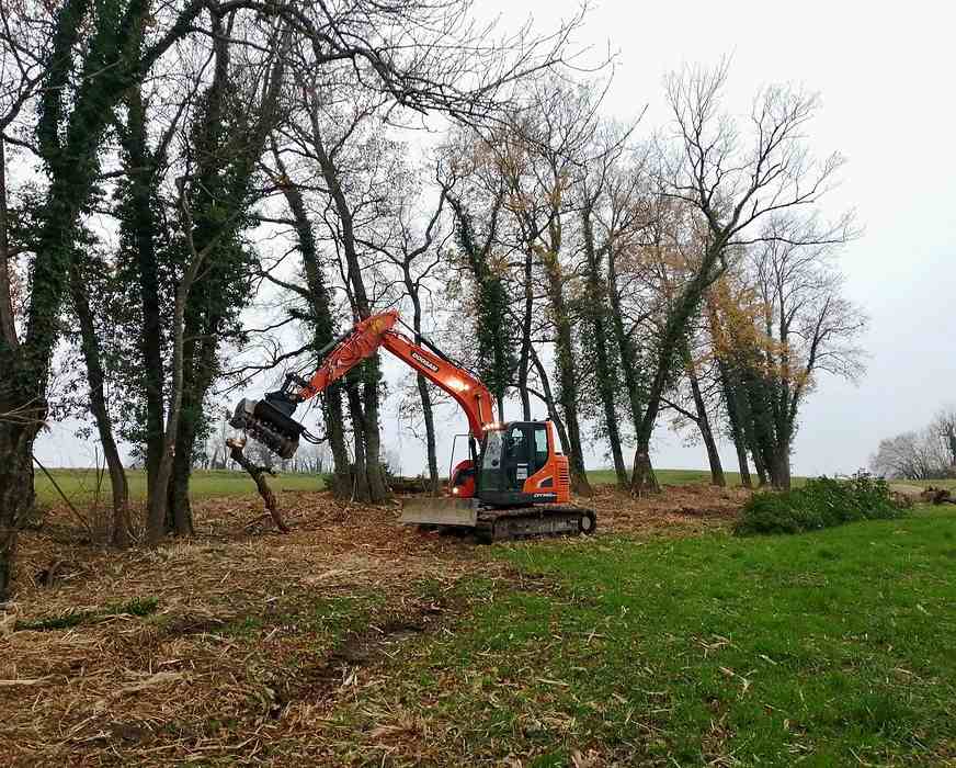 ÉLAGAGE D'UN ARBRE - TPAF GIET TRAVAXU RURAUX À PROXIMITÉ DE RUMILLY